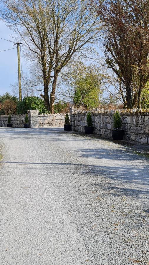 Yellow Heights Country House Tinahely Dış mekan fotoğraf